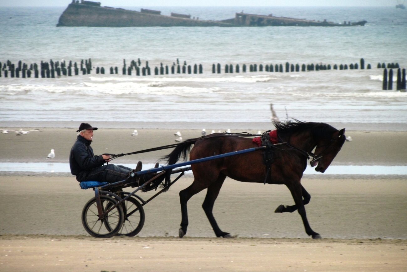 activité cheval Normandie