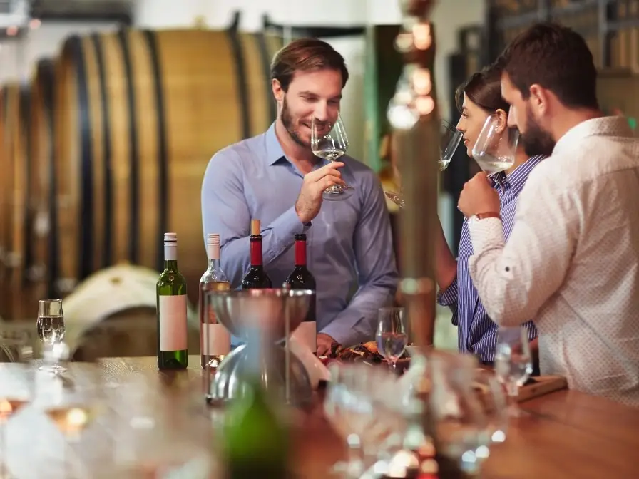 Dégustation vin vignoble corse