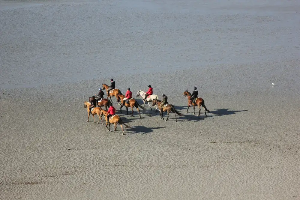 Seminaire-Mer-Hotel-Mont-Saint-Michel-Team-building