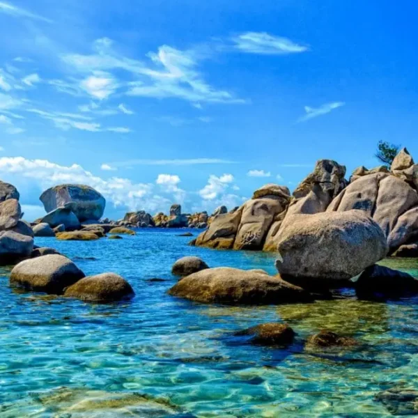 paysage porto vecchio